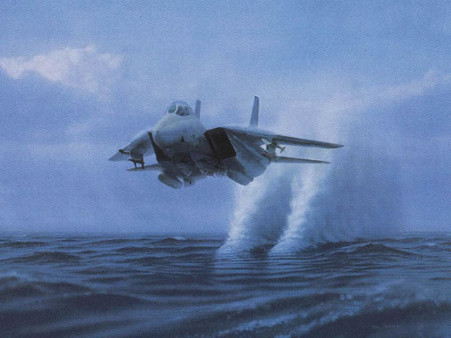 "Tomcat" - Dru Blair - F-14 Tomcat Aviation Art