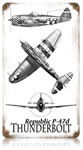 "P-47 Thunderbolt Three View" Vintage Metal Sign